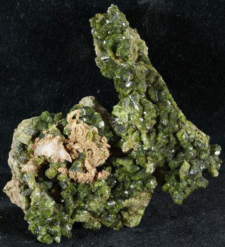 Lustrous, Epidote Crystal Cluster - Morocco #49409